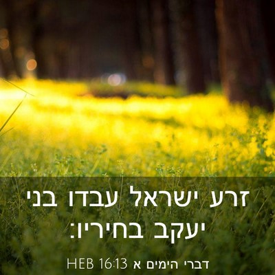 Picture 03 - דברי הימים א 16:13 HEB - זרע ישראל עבדו בני יעקב - Bible Verse Picture