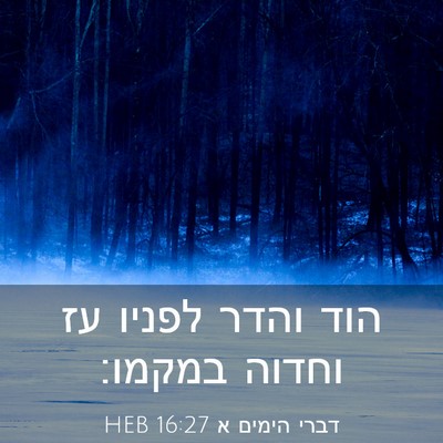 Picture 03 - דברי הימים א 16:27 HEB - הוד והדר לפניו עז וחדוה - Bible Verse Picture