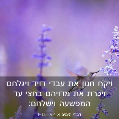 Picture 03 - דברי הימים א 19:4 HEB - ויקח חנון את עבדי דויד - Bible Verse Picture
