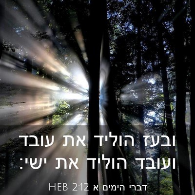 Picture 03 - דברי הימים א 2:12 HEB - ובעז הוליד את עובד ועובד - Bible Verse Picture