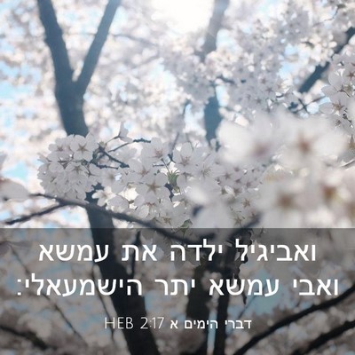 Picture 03 - דברי הימים א 2:17 HEB - ואביגיל ילדה את עמשא ואבי - Bible Verse Picture