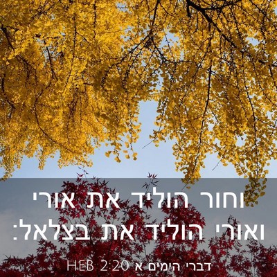 Picture 03 - דברי הימים א 2:20 HEB - וחור הוליד את אורי ואורי - Bible Verse Picture