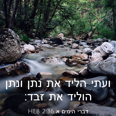 Picture 03 - דברי הימים א 2:36 HEB - ועתי הליד את נתן ונתן הוליד - Bible Verse Picture