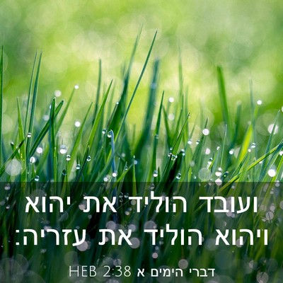 Picture 03 - דברי הימים א 2:38 HEB - ועובד הוליד את יהוא ויהוא - Bible Verse Picture