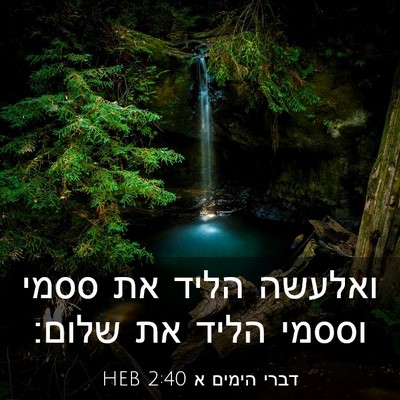 Picture 03 - דברי הימים א 2:40 HEB - ואלעשה הליד את ססמי וססמי - Bible Verse Picture