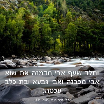 Picture 03 - דברי הימים א 2:49 HEB - ותלד שעף אבי מדמנה את שוא - Bible Verse Picture