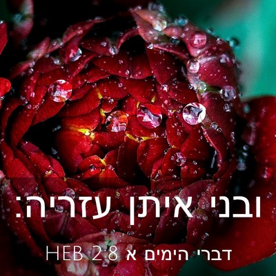 Picture 03 - דברי הימים א 2:8 HEB - ובני איתן - Bible Verse Picture
