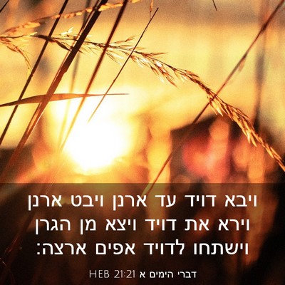 Picture 03 - דברי הימים א 21:21 HEB - ויבא דויד עד ארנן ויבט ארנן - Bible Verse Picture