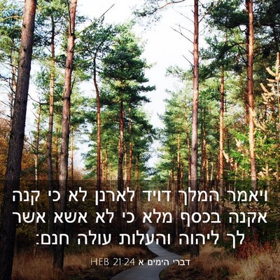 Picture 03 - דברי הימים א 21:24 HEB - ויאמר המלך דויד לארנן לא כי - Bible Verse Picture