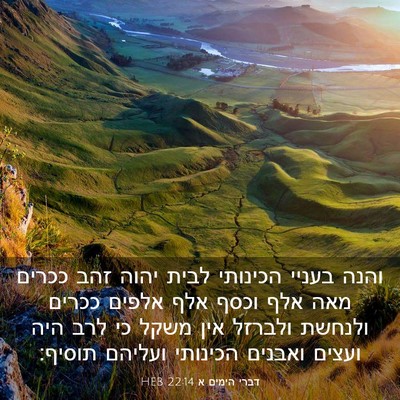 Picture 03 - דברי הימים א 22:14 HEB - והנה בעניי הכינותי לבית - Bible Verse Picture