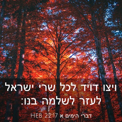 Picture 03 - דברי הימים א 22:17 HEB - ויצו דויד לכל שרי ישראל - Bible Verse Picture