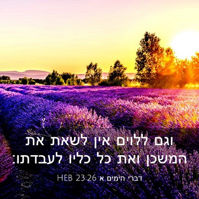 Picture 03 - דברי הימים א 23:26 HEB - וגם ללוים אין לשאת את המשכן - Bible Verse Picture