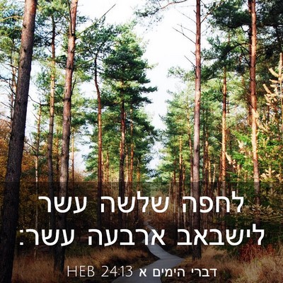 Picture 03 - דברי הימים א 24:13 HEB - לחפה שלשה עשר לישבאב ארבעה - Bible Verse Picture