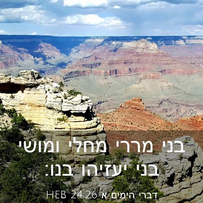 Picture 03 - דברי הימים א 24:26 HEB - בני מררי מחלי ומושי בני - Bible Verse Picture