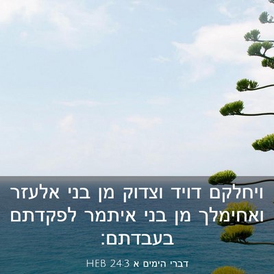 Picture 03 - דברי הימים א 24:3 HEB - ויחלקם דויד וצדוק מן בני - Bible Verse Picture