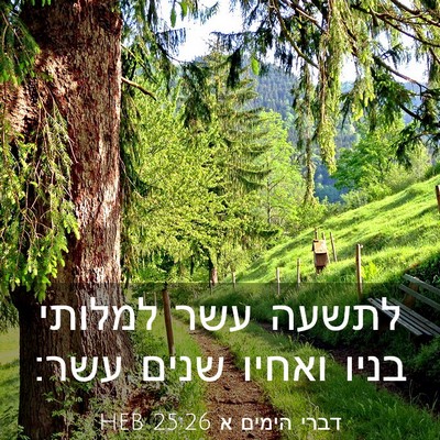 Picture 03 - דברי הימים א 25:26 HEB - לתשעה עשר למלותי בניו - Bible Verse Picture