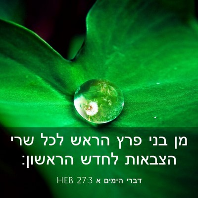 Picture 03 - דברי הימים א 27:3 HEB - מן בני פרץ הראש לכל שרי - Bible Verse Picture