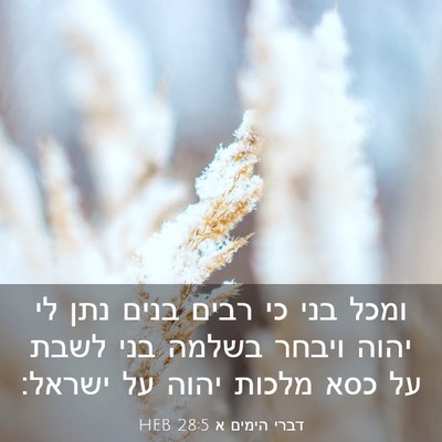 Picture 03 - דברי הימים א 28:5 HEB - ומכל בני כי רבים בנים נתן - Bible Verse Picture