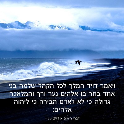 Picture 03 - דברי הימים א 29:1 HEB - ויאמר דויד המלך לכל הקהל - Bible Verse Picture