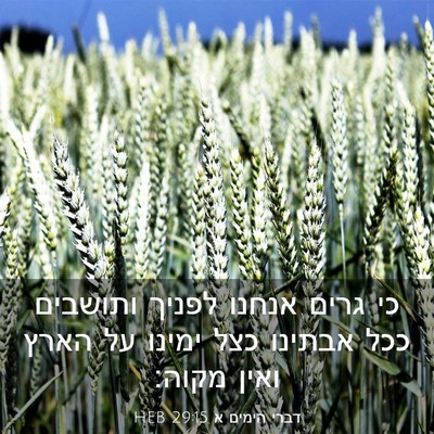 Picture 03 - דברי הימים א 29:15 HEB - כי גרים אנחנו לפניך - Bible Verse Picture