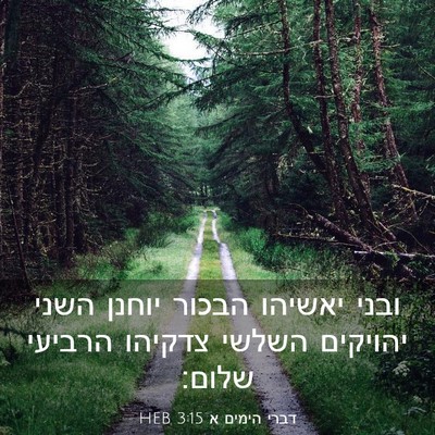 Picture 03 - דברי הימים א 3:15 HEB - ובני יאשיהו הבכור יוחנן - Bible Verse Picture