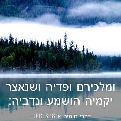 Picture 03 - דברי הימים א 3:18 HEB - ומלכירם ופדיה ושנאצר יקמיה - Bible Verse Picture
