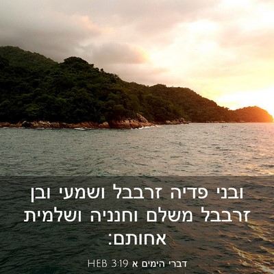 Picture 03 - דברי הימים א 3:19 HEB - ובני פדיה זרבבל ושמעי ובן - Bible Verse Picture