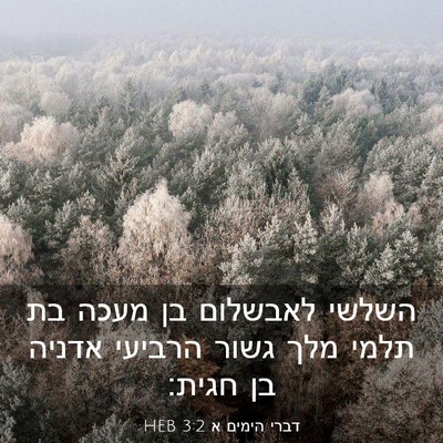 Picture 03 - דברי הימים א 3:2 HEB - השלשי לאבשלום בן מעכה בת - Bible Verse Picture
