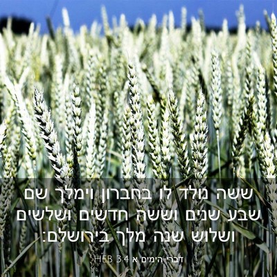 Picture 03 - דברי הימים א 3:4 HEB - ששה נולד לו בחברון וימלך שם - Bible Verse Picture