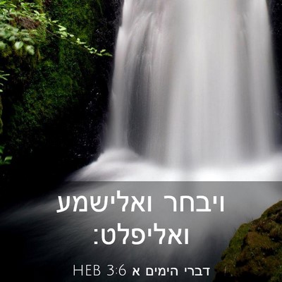 Picture 03 - דברי הימים א 3:6 HEB - ויבחר ואלישמע - Bible Verse Picture