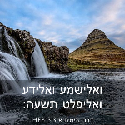 Picture 03 - דברי הימים א 3:8 HEB - ואלישמע ואלידע ואליפלט - Bible Verse Picture
