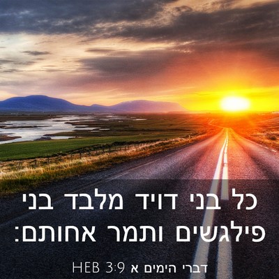 Picture 03 - דברי הימים א 3:9 HEB - כל בני דויד מלבד בני - Bible Verse Picture