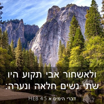 Picture 03 - דברי הימים א 4:5 HEB - ולאשחור אבי תקוע היו שתי - Bible Verse Picture