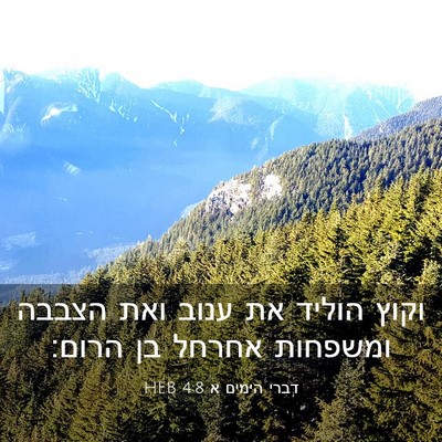Picture 03 - דברי הימים א 4:8 HEB - וקוץ הוליד את ענוב ואת - Bible Verse Picture