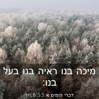 Picture 03 - דברי הימים א 5:5 HEB - מיכה בנו ראיה בנו בעל - Bible Verse Picture