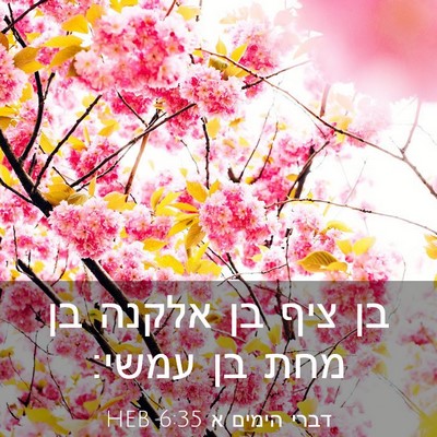 Picture 03 - דברי הימים א 6:35 HEB - בן ציף בן אלקנה בן מחת בן - Bible Verse Picture