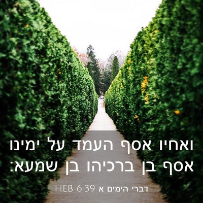 Picture 03 - דברי הימים א 6:39 HEB - ואחיו אסף העמד על ימינו אסף - Bible Verse Picture