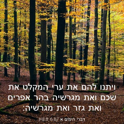 Picture 03 - דברי הימים א 6:67 HEB - ויתנו להם את ערי המקלט את - Bible Verse Picture