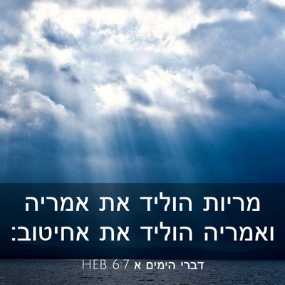 Picture 03 - דברי הימים א 6:7 HEB - מריות הוליד את אמריה - Bible Verse Picture