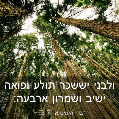 Picture 03 - דברי הימים א 7:1 HEB - ולבני יששכר תולע ופואה - Bible Verse Picture