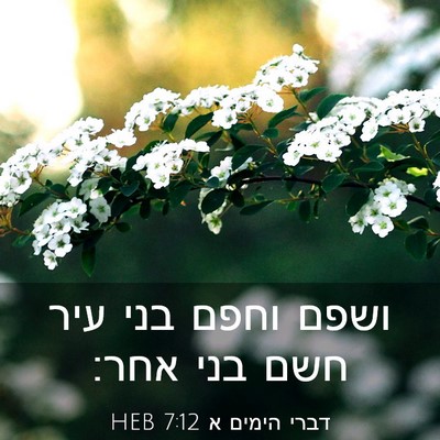 Picture 03 - דברי הימים א 7:12 HEB - ושפם וחפם בני עיר חשם בני - Bible Verse Picture