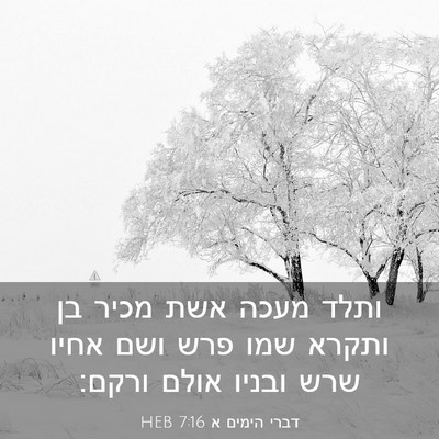 Picture 03 - דברי הימים א 7:16 HEB - ותלד מעכה אשת מכיר בן ותקרא - Bible Verse Picture