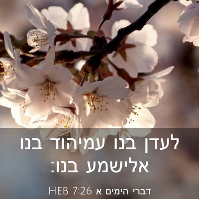 Picture 03 - דברי הימים א 7:26 HEB - לעדן בנו עמיהוד בנו אלישמע - Bible Verse Picture