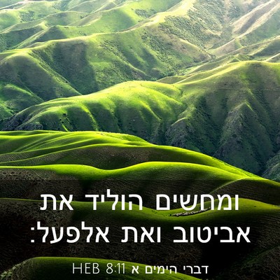 Picture 03 - דברי הימים א 8:11 HEB - ומחשים הוליד את אביטוב ואת - Bible Verse Picture