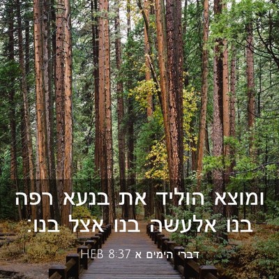 Picture 03 - דברי הימים א 8:37 HEB - ומוצא הוליד את בנעא רפה בנו - Bible Verse Picture