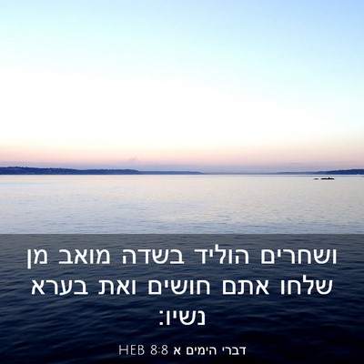 Picture 03 - דברי הימים א 8:8 HEB - ושחרים הוליד בשדה מואב מן - Bible Verse Picture