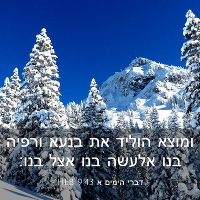 Picture 03 - דברי הימים א 9:43 HEB - ומוצא הוליד את בנעא ורפיה - Bible Verse Picture