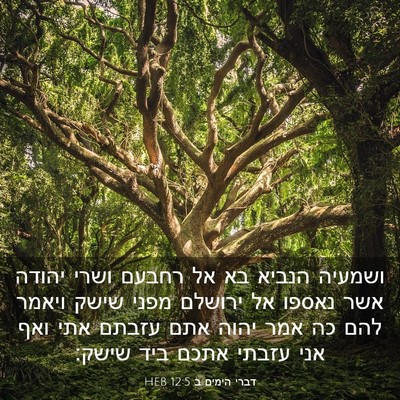 Picture 03 - דברי הימים ב 12:5 HEB - ושמעיה הנביא בא אל רחבעם - Bible Verse Picture