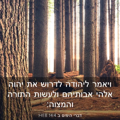 Picture 03 - דברי הימים ב 14:4 HEB - ויאמר ליהודה לדרוש את יהוה - Bible Verse Picture