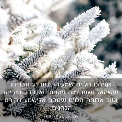 Picture 03 - דברי הימים ב 17:8 HEB - ועמהם הלוים שמעיהו ונתניהו - Bible Verse Picture